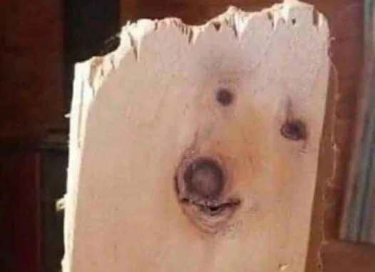 146