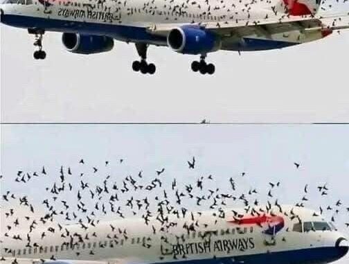 148