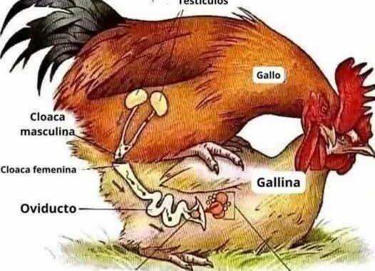 165